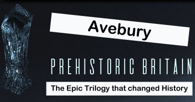 TSE DVD - Avebury