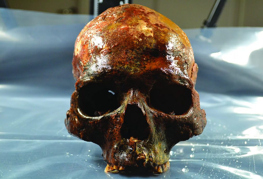 8000-year-old Cro-Magnon skull 6 (8000-year-old Cro-Magnon skull)