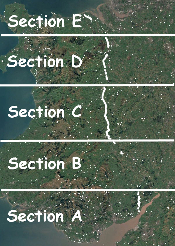 Survey Sections