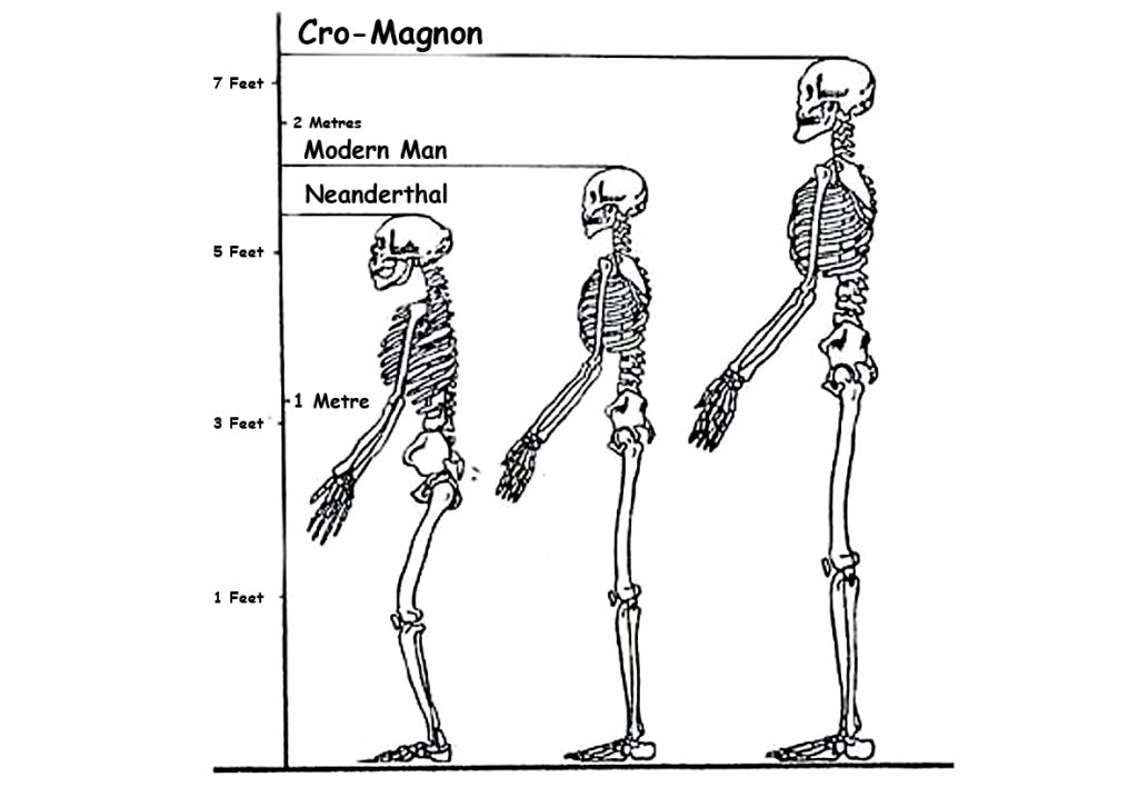 Giant Skeletons (Cro-Magnon)