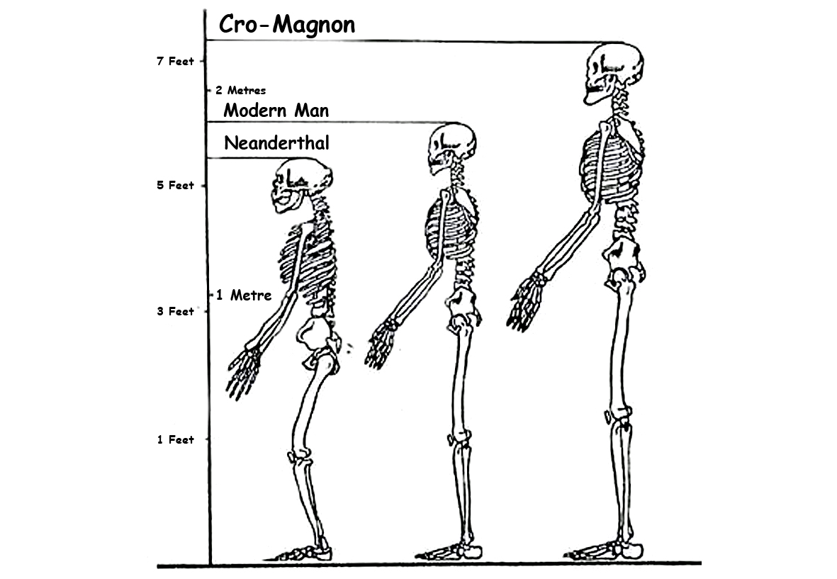 Cro Magnon Art Cro Magnon Art