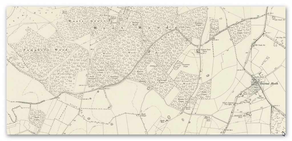 S of Furze Hill to Marlborough - Pewsey Roads (1800s Map) - Prehistoric Canals (Dykes) - Wansdyke (2)