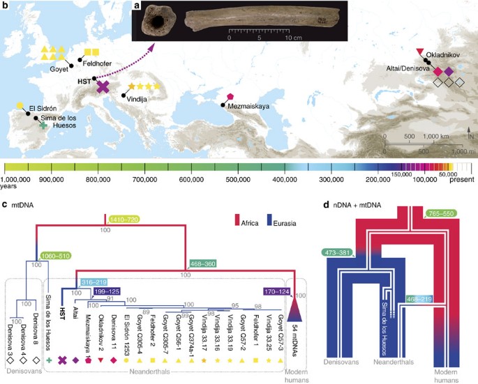 DNA Theory with zero archaeological evidence