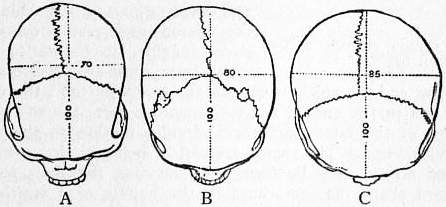 The Cro-Magnon Cover-Up: How DNA and PR Labels Erased Our Real Ancestry