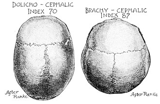 The Cro-Magnon Cover-Up: How DNA and PR Labels Erased Our Real Ancestry