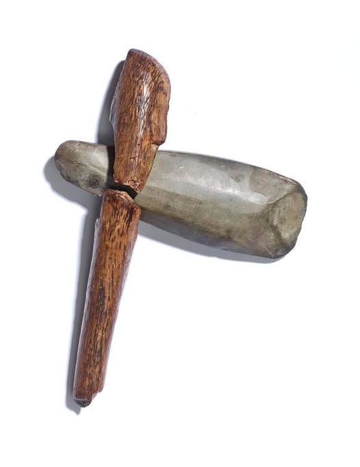 Cro-Magnon Megalithic Builders: Measurement, Biology, and the DNA