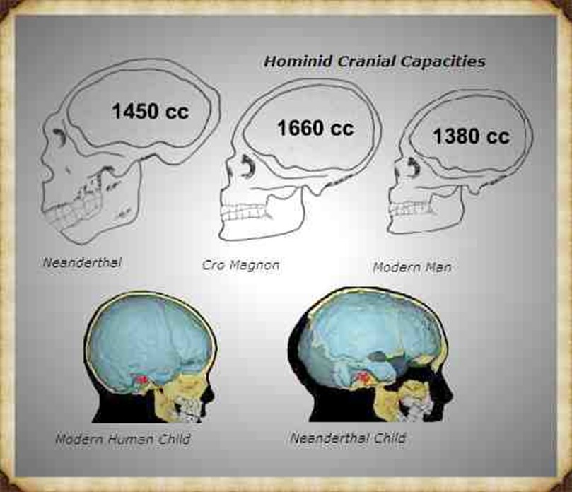 Cro-Magnon Megalithic Builders: Measurement, Biology, and the DNA