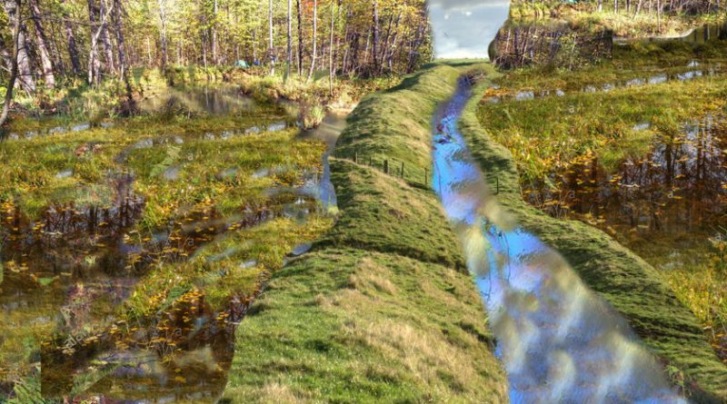 Hydrology 101 Simplified: Why Britain’s Dykes Worked Without Rivers 2 (Hydrology 101 Simplified: Why Britain’s Dykes Worked Without Rivers)