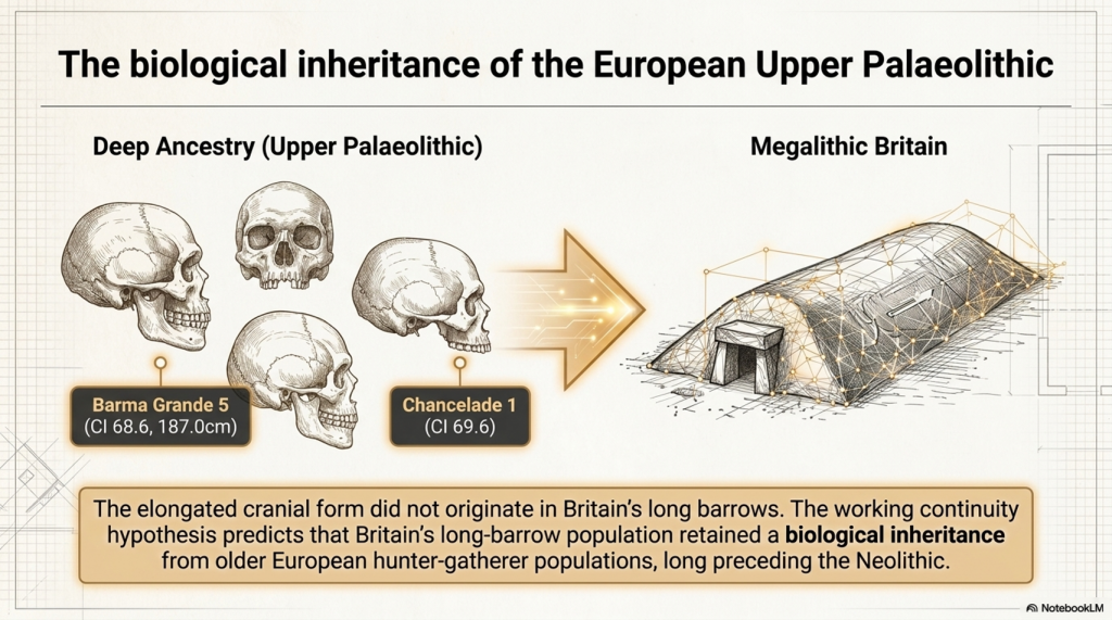 Thurnam's 137 Skulls: The Forgotten People Behind Britain's Megaliths.