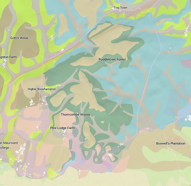 Ackling Dyke – Part II - Puddletown Forest: When a Roman Road Becomes an Assumption 12 Ackling Dyke – Part II - Puddletown Forest: When a Roman Road Becomes an Assumption