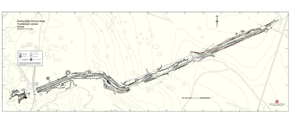 Ackling Dyke – Part II - Puddletown Forest: When a Roman Road Becomes an Assumption 2 Ackling Dyke – Part II - Puddletown Forest: When a Roman Road Becomes an Assumption