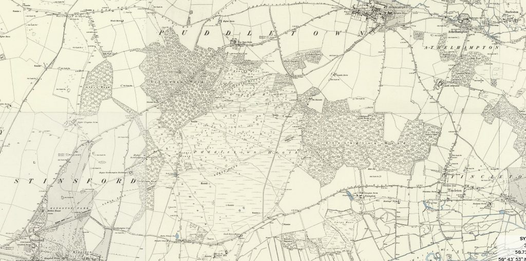 Ackling Dyke – Part II - Puddletown Forest: When a Roman Road Becomes an Assumption 8 Ackling Dyke – Part II - Puddletown Forest: When a Roman Road Becomes an Assumption